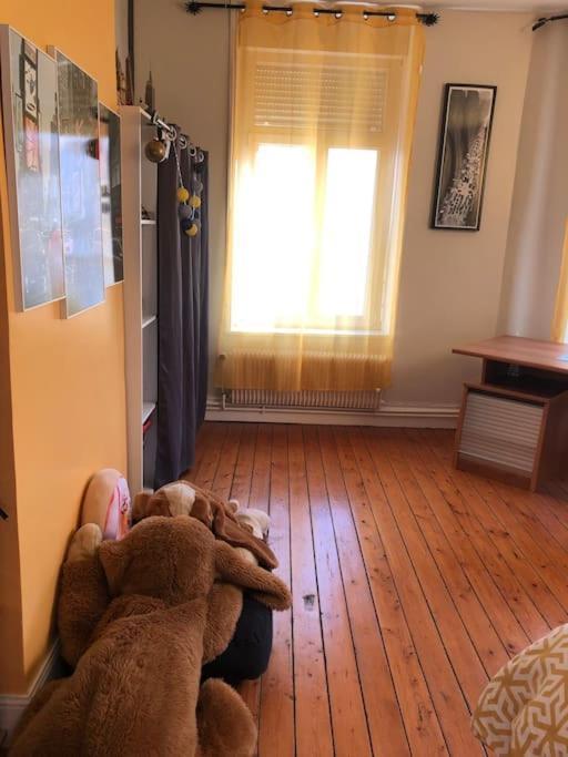 Maison Conviviale Aux Abords De La Vieille Ville Boulogne-sur-Mer Ngoại thất bức ảnh
