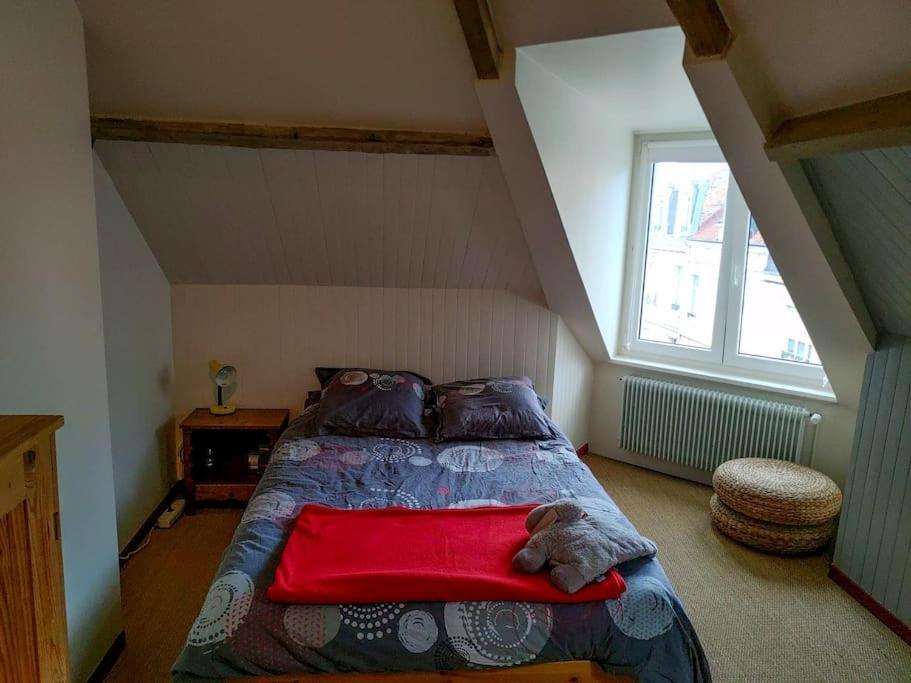Maison Conviviale Aux Abords De La Vieille Ville Boulogne-sur-Mer Ngoại thất bức ảnh
